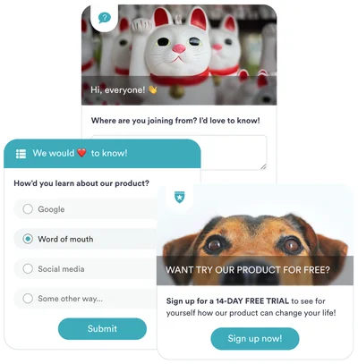 eWebinar Interactions