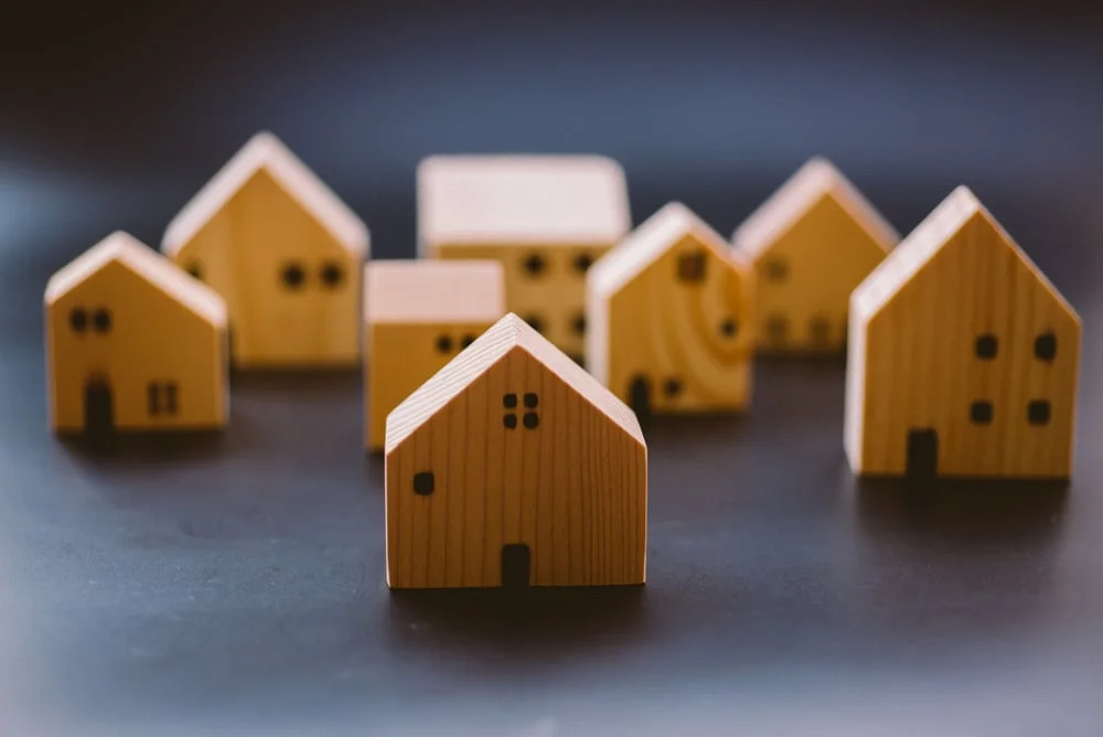 Real Estate Agent Neighborhood Tour for Prospective Buyers