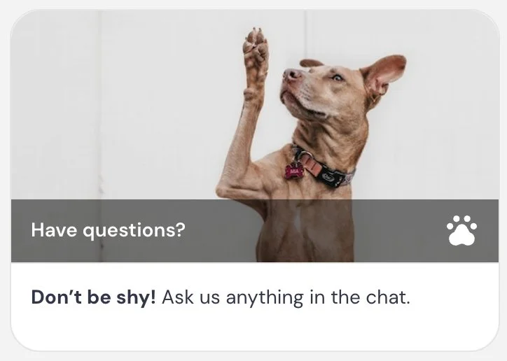 Have questions tip interaction