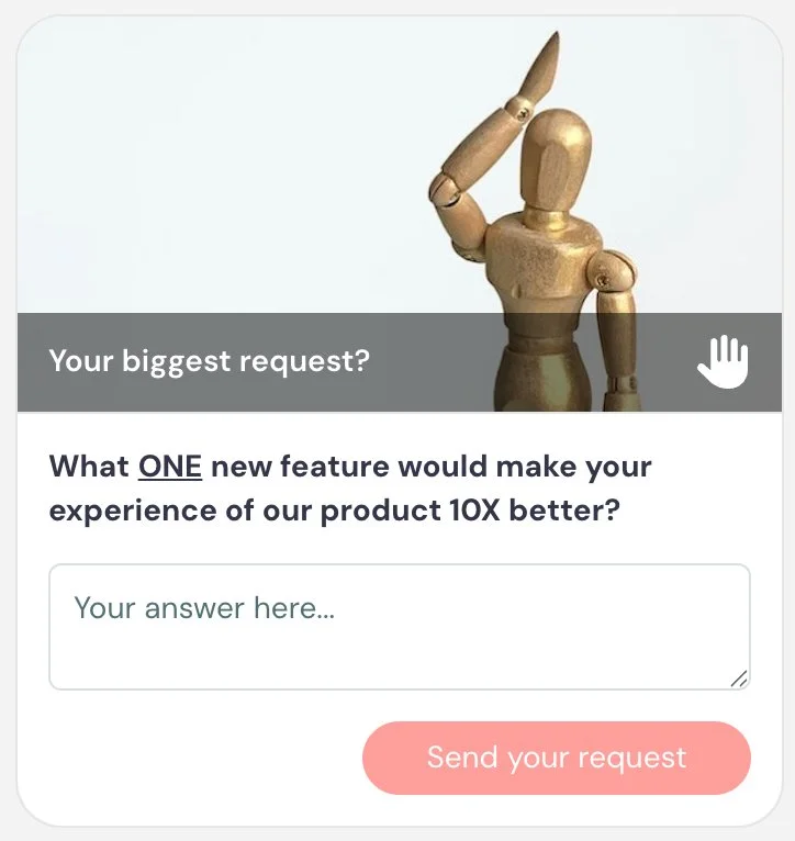 Feedback form with mannequin and input field.