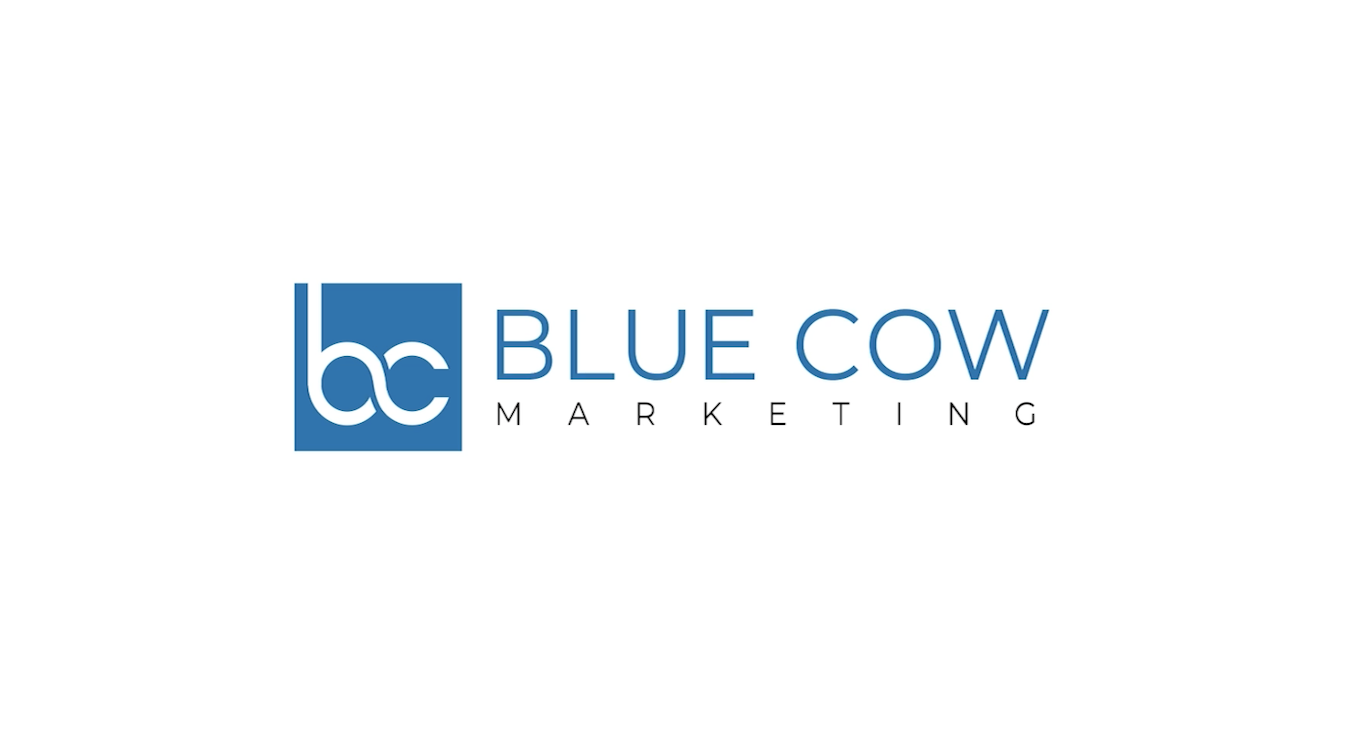 Blue Cow Marketing Video Cover