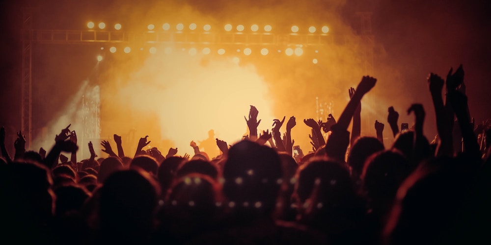 Audience at live music event